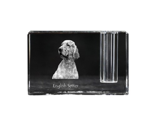 Setter inglese portapenne - , in