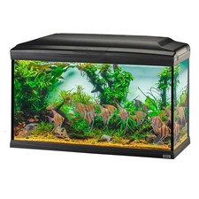 Acquario Ferplast Cayman 80