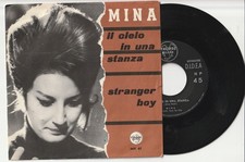 MINA IL CIELO IN UNA