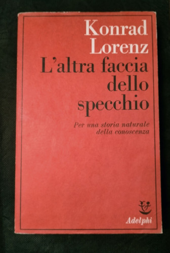 Altra faccia dello specchio - l'altra,