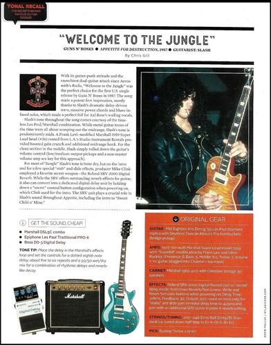 Guns roses slash - guns,