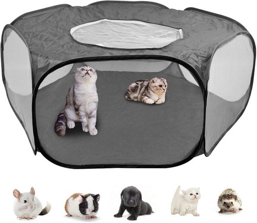 Doduos tenda gabbia pop - doduos,