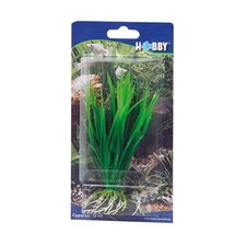 Hobby Cyperus, 16cm