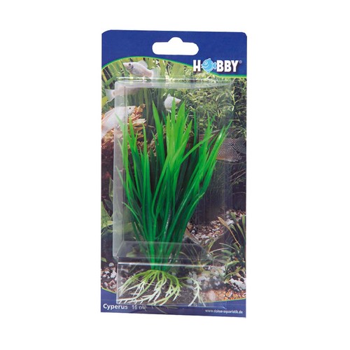 Hobby cyperus 16cm - hobby, cyperus,