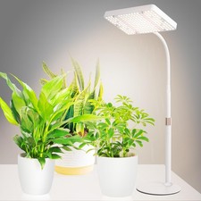 Luce da Coltivazione da