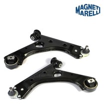 Coppia Bracci Oscillanti