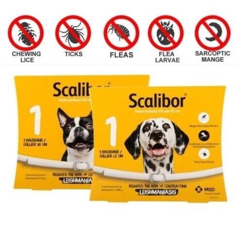 Collare antiparassitario per - collare,