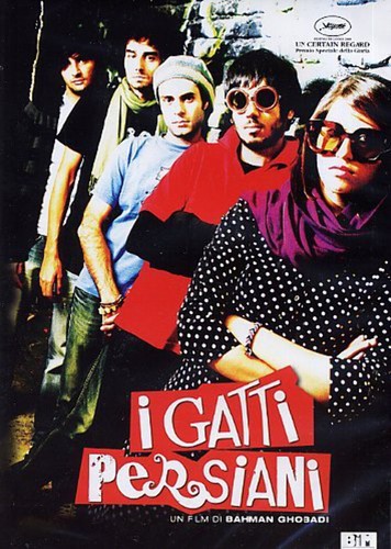 Gatti persiani dvd - gatti, [dvd]