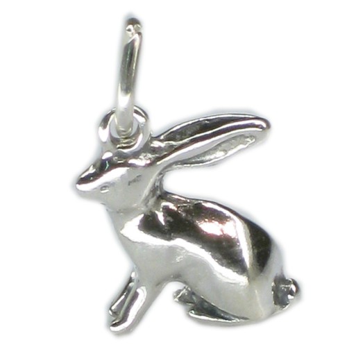 Charm lepre argento - charm,