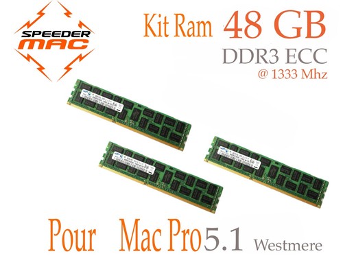Kit mémoire hynix 48 gb - hynix,