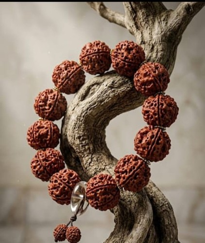 Bracciale semi rudraksha bodhi - bracciale,