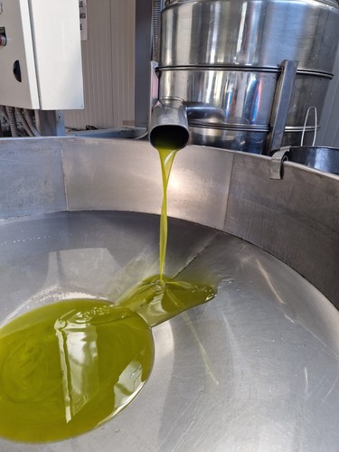 Olio extravergine oliva - di,