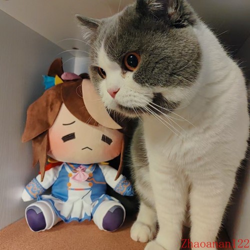 Peluche pupazzo seduto - , anime