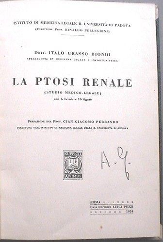 Ptosi renale italo - renale, grasso