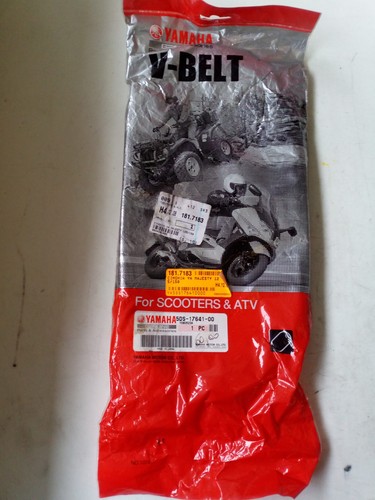 Belt cinghia trasmissione - v-belt,