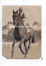 ippica CAVALLI CORSE 1966 SAN