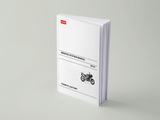 Aprilia RSV 1000 R / Tuono