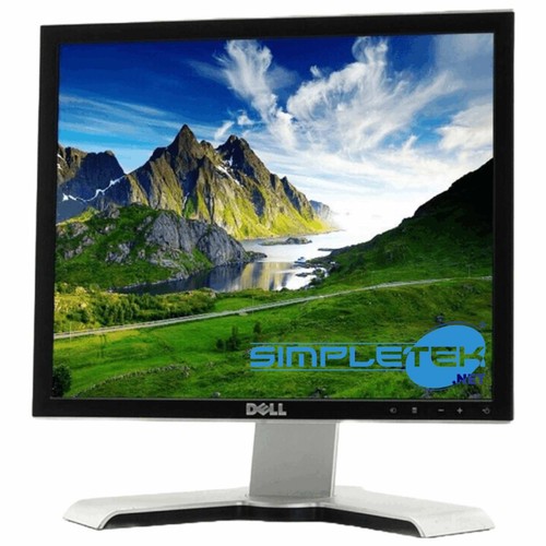Dell e178fpv schermo display - dell,