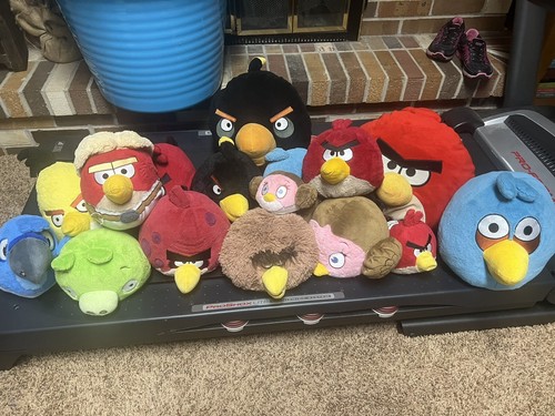 Large lot angry - large, of