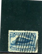 Terranova 1880 scott 40 - terranova, scott#