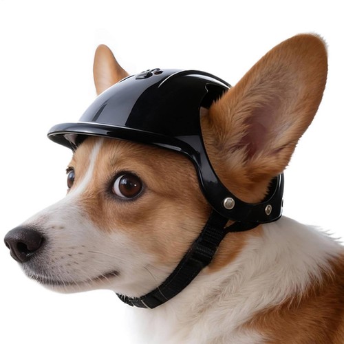 Casco scooter per animali - scooter,