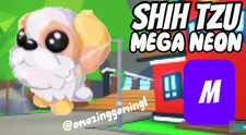 TRENDING MEGA NEON SHIH TZU {