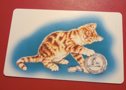 Scheda telefonica gatto - c.f.n.,