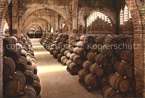 Vino cavas codorniu bodega - vino,