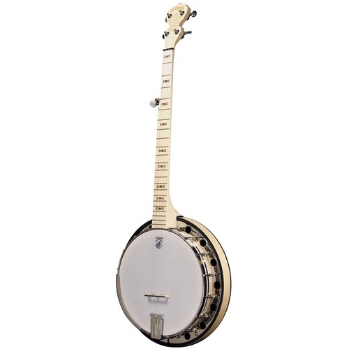 Deering goodtime special banjo - special,