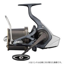 Mulinello da Pesca Daiwa 21