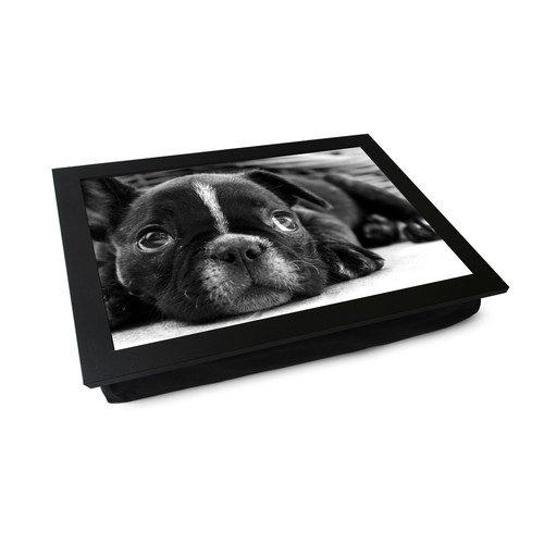 Nuovo regalo per - , con