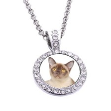 Burmese Cat Pet Silver Colour