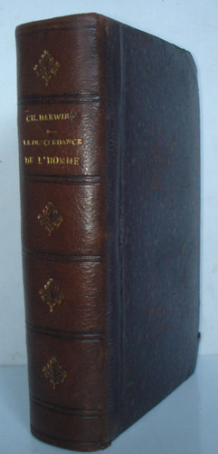 Darwin descendance de - la,