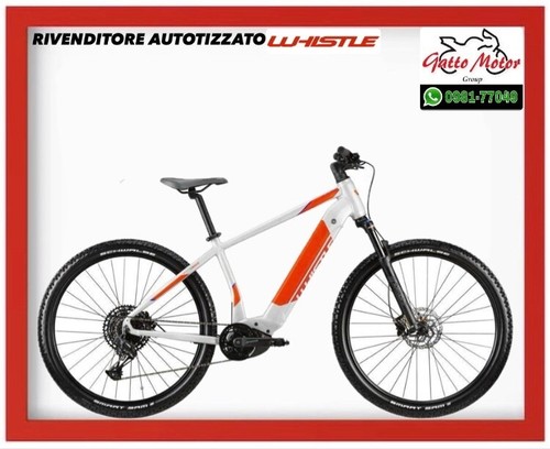 Bici elettrica ebike mtb - bici,