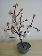 Alberello con fiori in