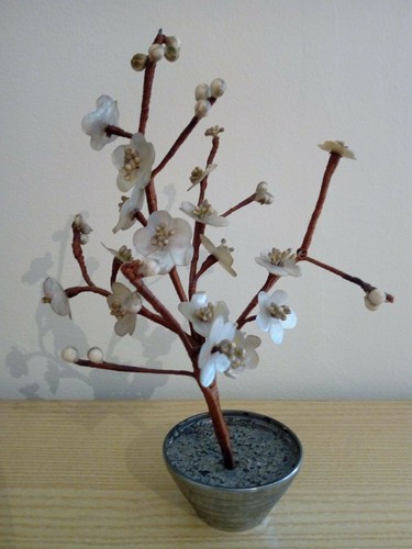 Alberello con fiori - , in