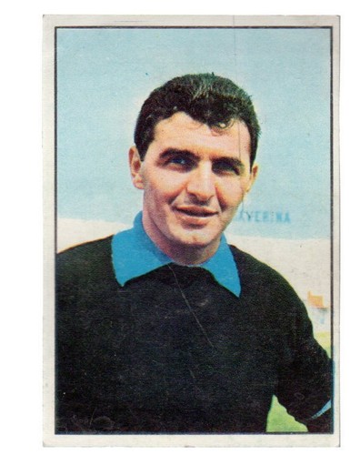 Figurina calciatori panini - figurina,