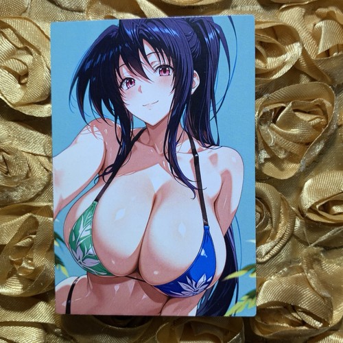 Carta akeno himejima high - himejima,