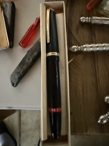 Penna stilografica tecnica