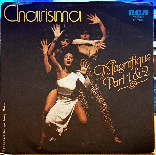 Disco vinile giri charisma - 45,