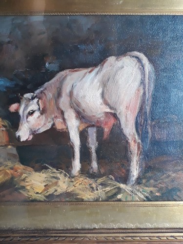 Dipinto olio tela torello - olio,
