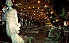 vintage postcard- Kapok Tree