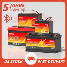 Batteria al litio 12V 100Ah