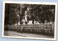 Compagnia Wehrmacht con elmetto in acciaio sul ciglio della strada - foto WW2 9x6cm