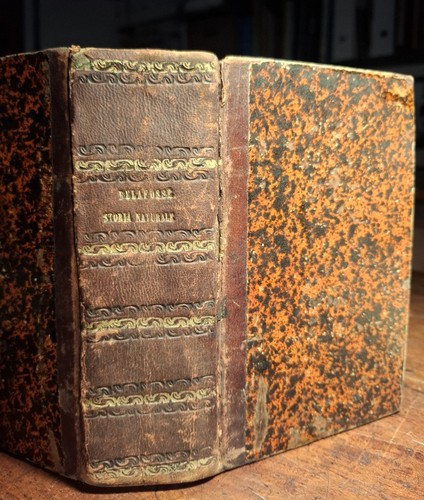 Compendio elementare storia - compendio, di