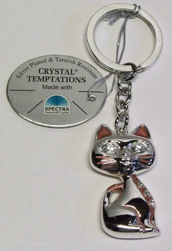 4646 portachiavi argento - g,