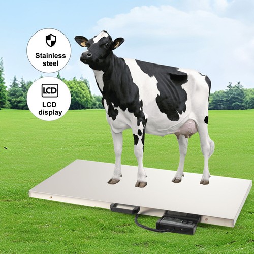 300kg 660lbs bodenwaage - 300kg/660lbs,