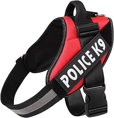 Pettorina cane nylon - pettorina, imbottita