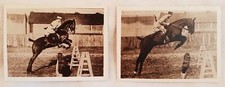 RACCOLTA FOTOGRAFIE SALTO AD OSTACOLI CAVALLO HORSE IPPODROMO ANNI ’30 VELOX