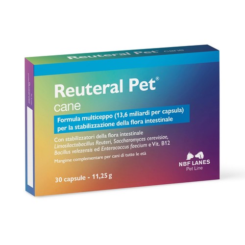 Reuteral pet cane - |,